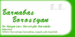 barnabas borostyan business card